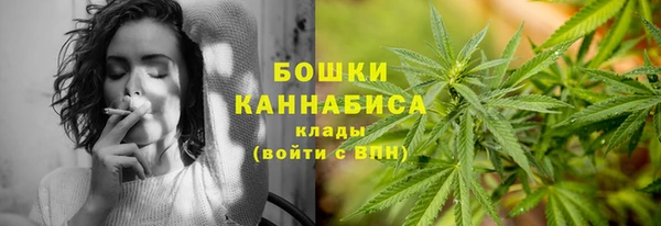 сатива Волосово